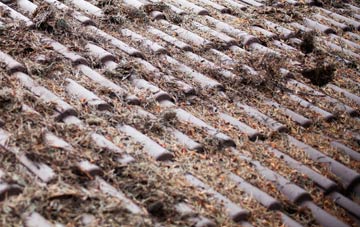 Hood Manor roof cleaning companies